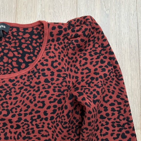Express animal print sweater skirt set - Picture 5 of 8
